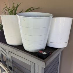 Flower Pots 