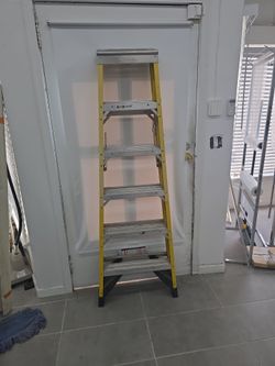 Werner 6 foot 450lbs ladder