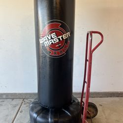 Century Double XL Wave Master 