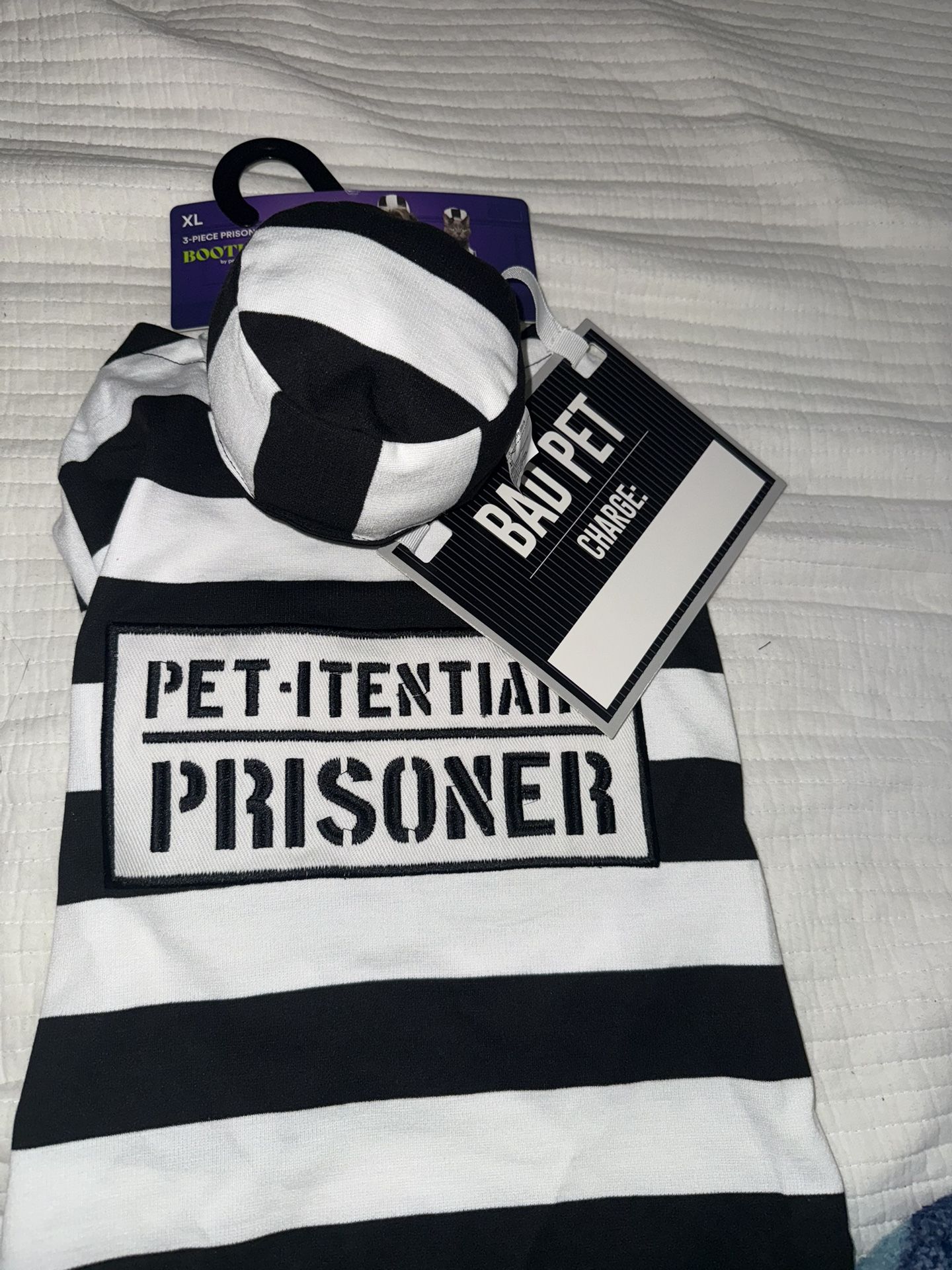 Pet Costume XL 