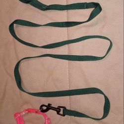 xsmall cat pink collar and green leash BOTH for $3!