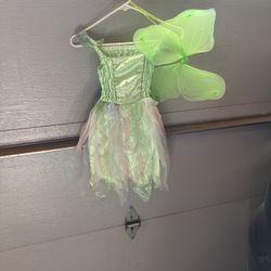 Costume or little girls dress up