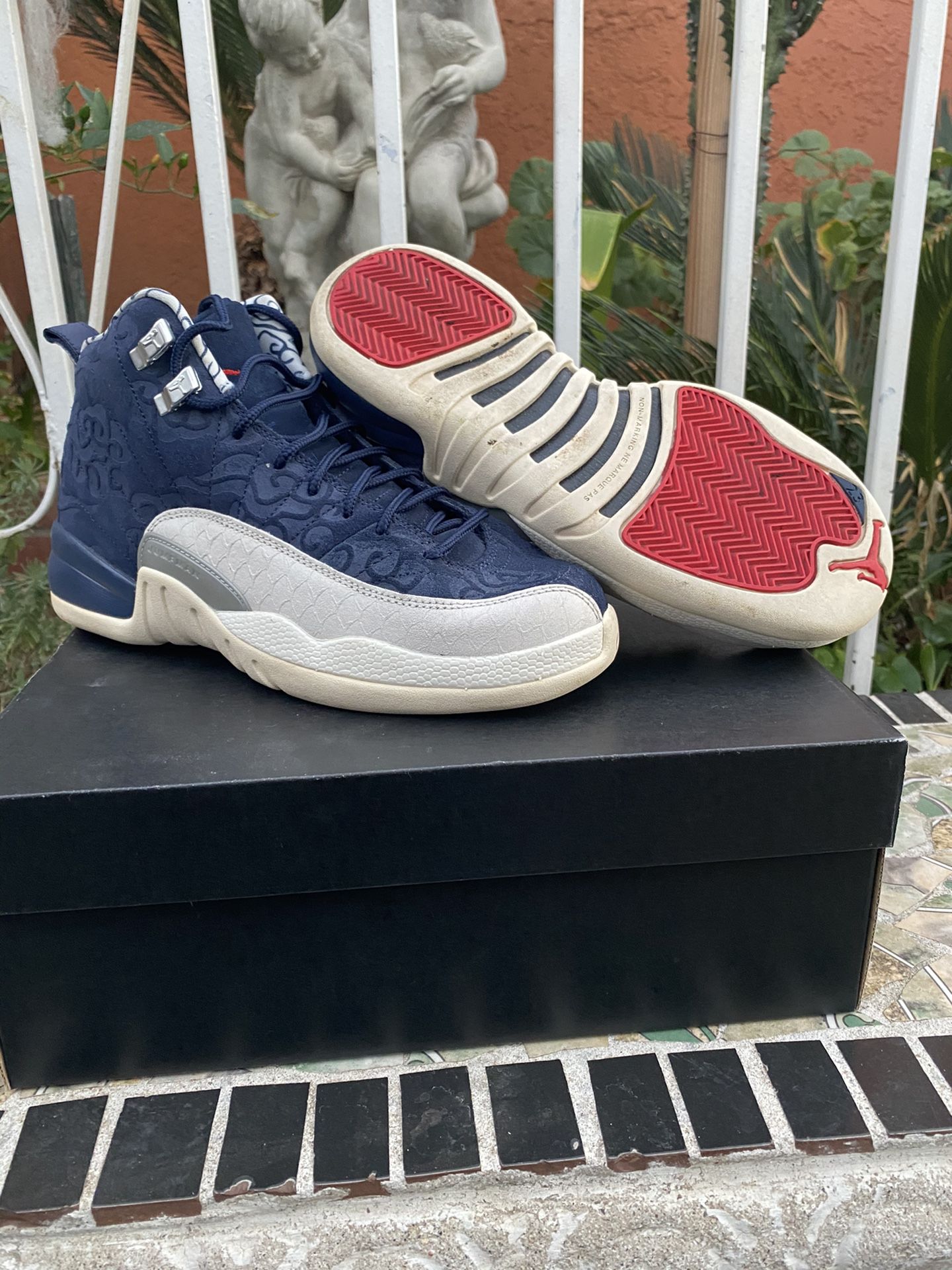 Jordan 12 International Flight