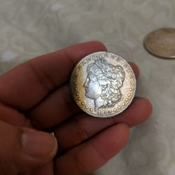 Silver Dollar 1882