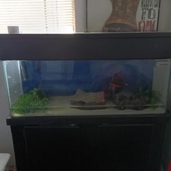 55 Gallon Fish Tank 