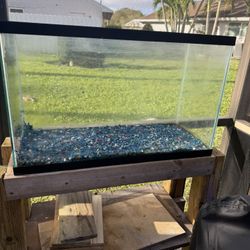 30 Gallon Aquarium