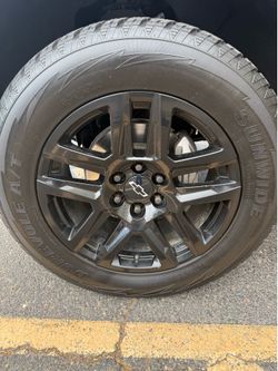 Stock trailboss wheels