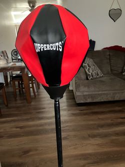 $10, Kids Boxing Play stand