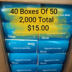 Face Masks - Dust Masks - Limited Time Deal - 40 Boxes Of 50 Masks - 2000 Total Only 15.00