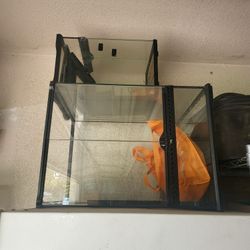 Reptile/tarantula Glass Cages 