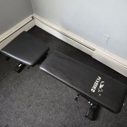 Flybird Bench