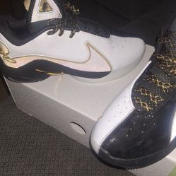 $50 Lebron 22 Size 10.5