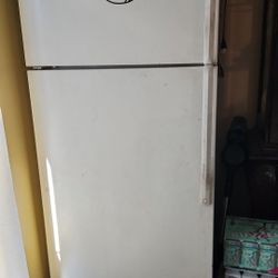 Fridge