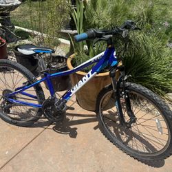 Giant 24 Inch Mountain Bike