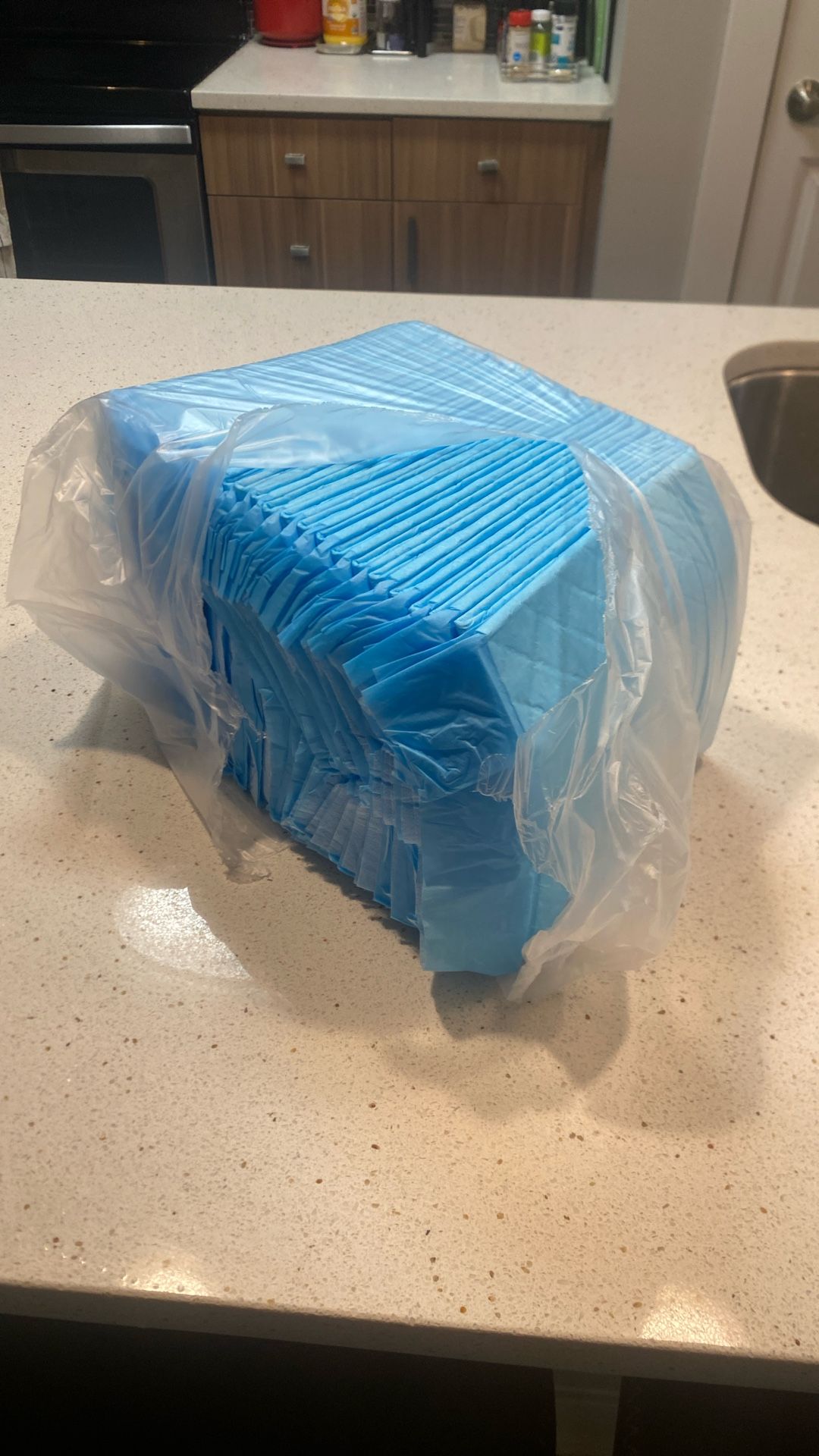 Puppy Pads (to pee On)