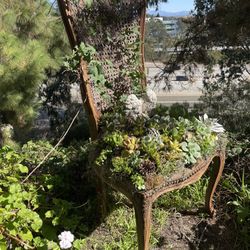 Fairy Planter Chair With Succulents 