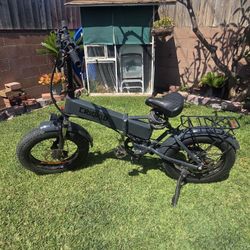Rogue Crooked Path E-bike 750 WATT