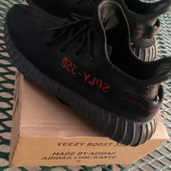 Yeezy Boost . 350