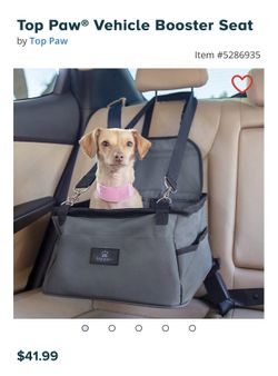 Small Pet Car Seat