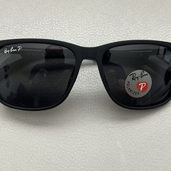 Raybans Polarized Italian Sunglasses 😎