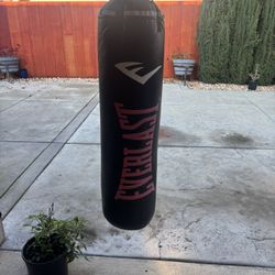 Ever-last Punching Bag