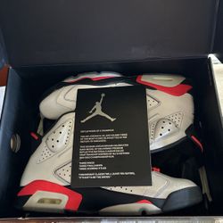 Reflections of a Champions 6’s