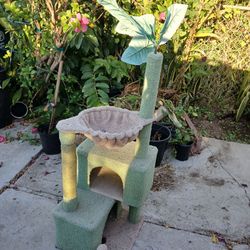 cat tower house playground casita de gato