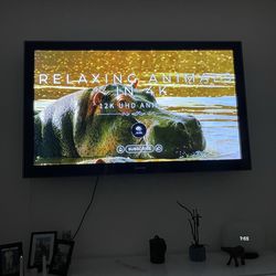 65” Samsung TV