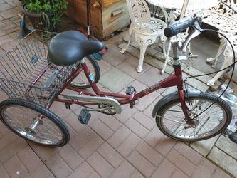 Tricycle (Adult)