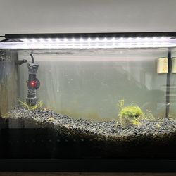 Fluval Spec V - 5 Gallon Aquarium-Fish Tank