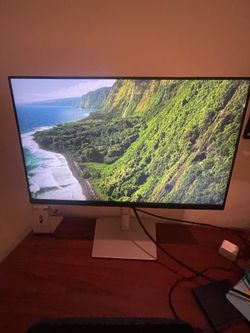 Dell Monitor