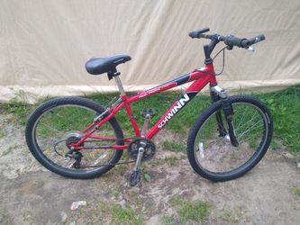 Schwinn 24"