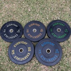 Everyday essentials weighted gym plates