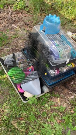 Rabbit/hamster stuff