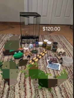 Reptile tank