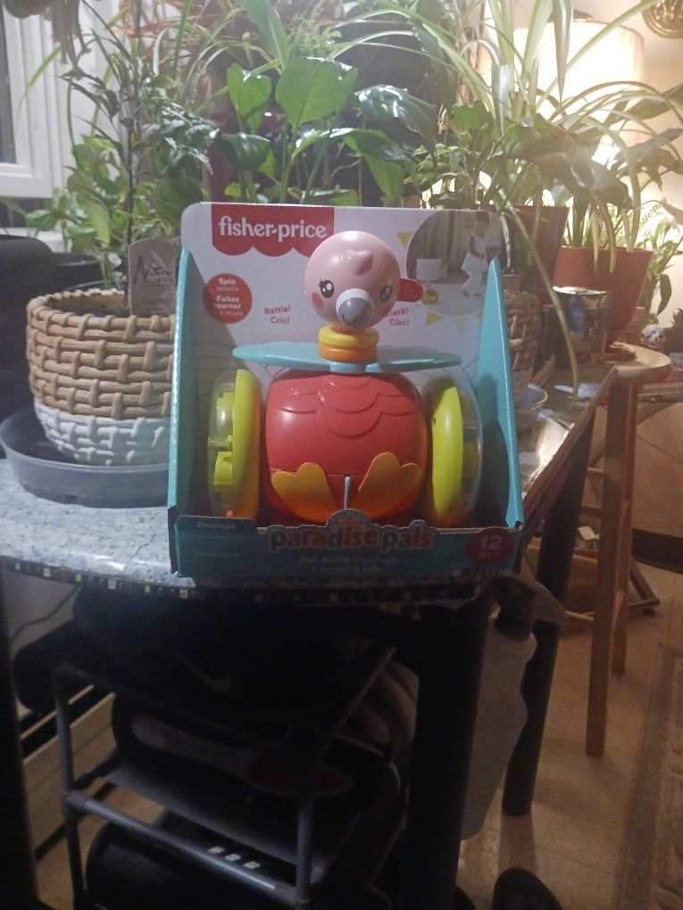 Fisher Price Toy