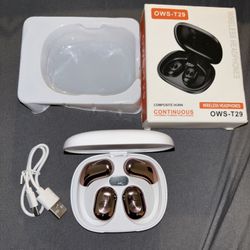 Open Ear Earbuds 