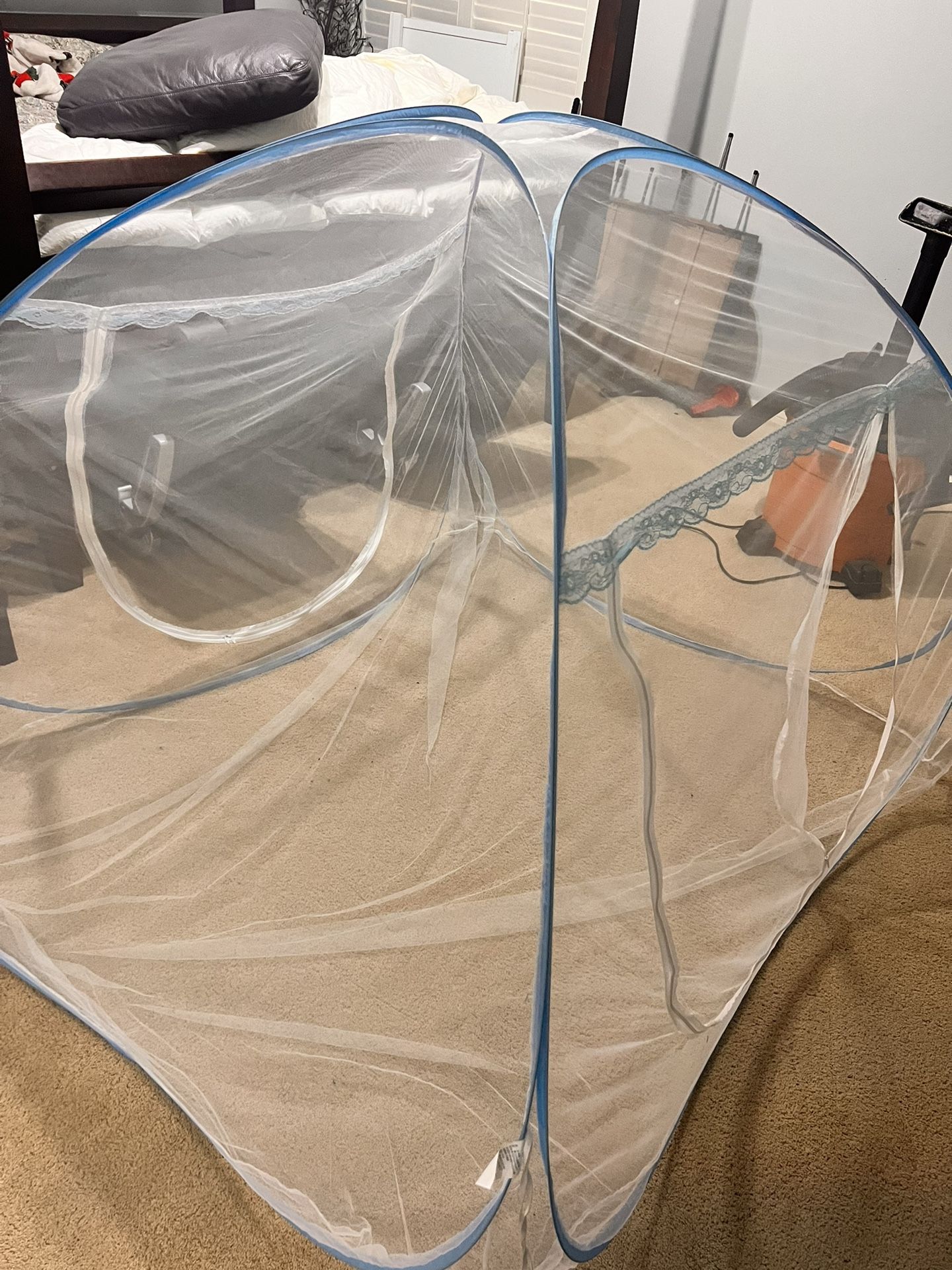 Sugar Glider Bonding Tent 