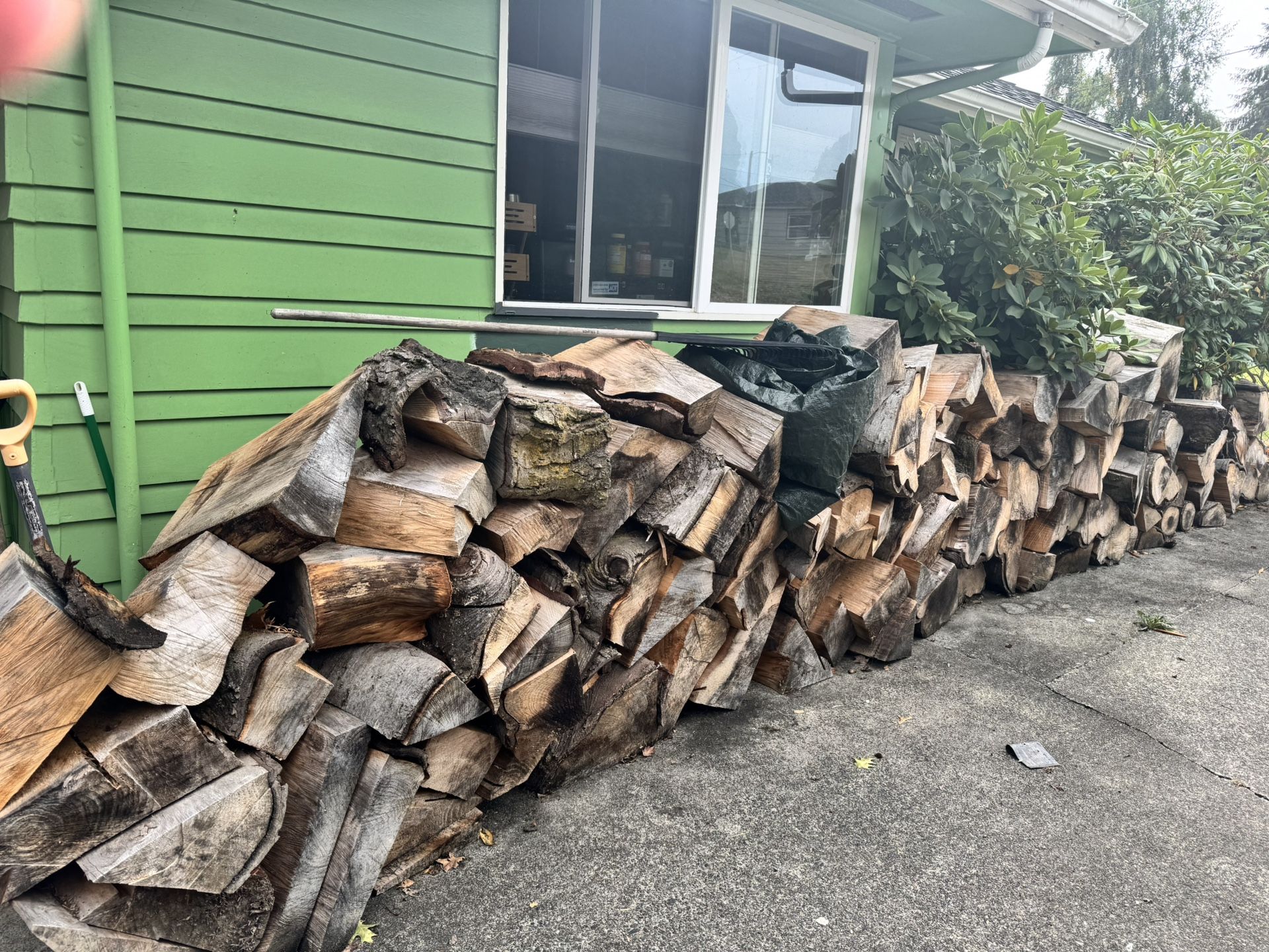 Fir Fire Wood