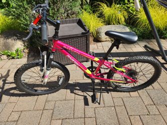 Dynacraft bike