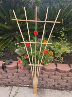 Cedar Fan Trellis