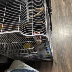 Large Bird Cage W Stuff For Birds & Extra Accessories 