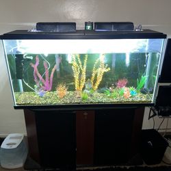 100 Gallon Fish tank W/ Table & Filtration Equipment