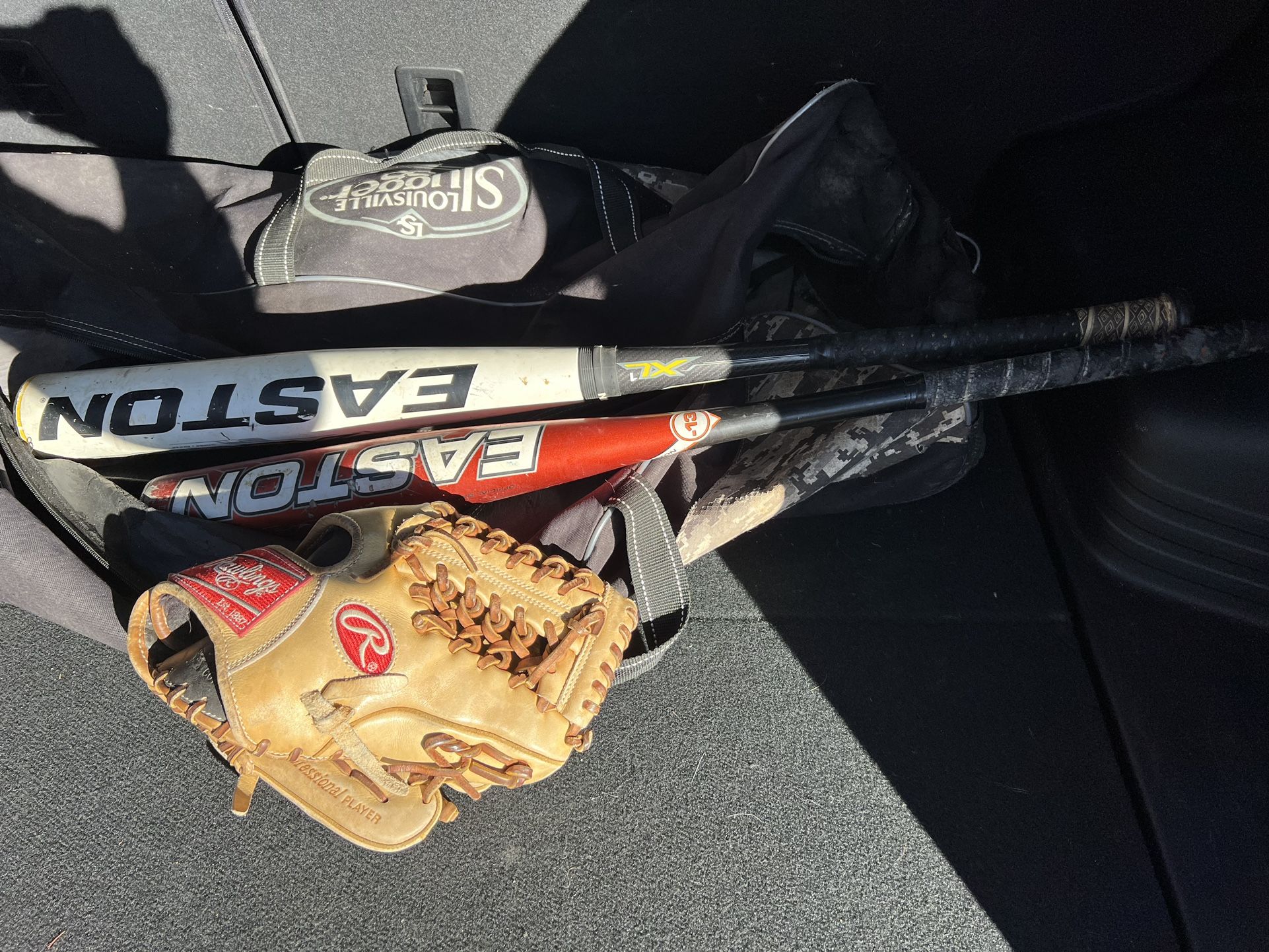 Baseball Bats MIT And Balls And Bag