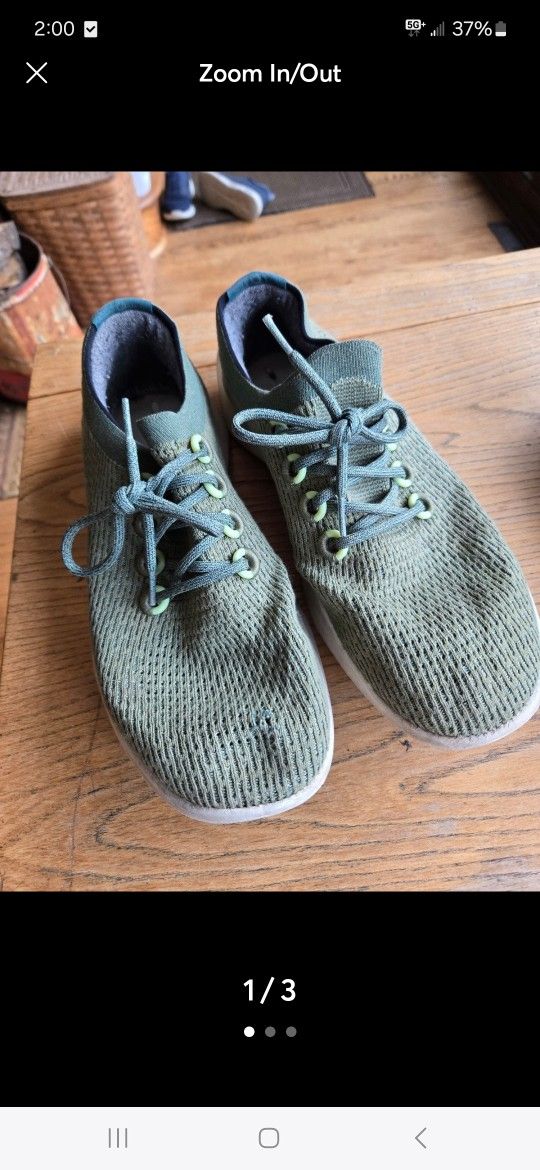 All Bird Men's Tree Dasher 2 Size 12 Shoes