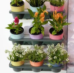 Watex Wheatstraw Plastic Vertical Garden Kit, BPA Free