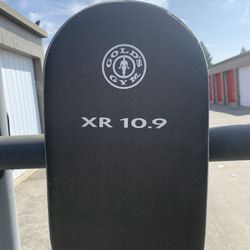 GOLDS GYM XR 10.9 Power Tower with Push-Up, Pull-Up & Dip Stations 