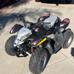 2007 Polaris Predator