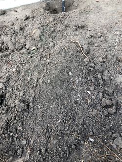 Dirt for free