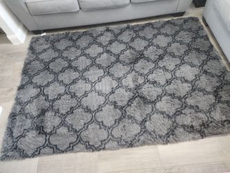 Area rug /carpet 5x7 ft